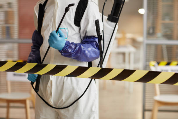 Professional Sewage Cleanup technician working in Dayton, MN